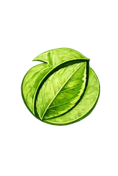 Leaf cluster sample for plant identification